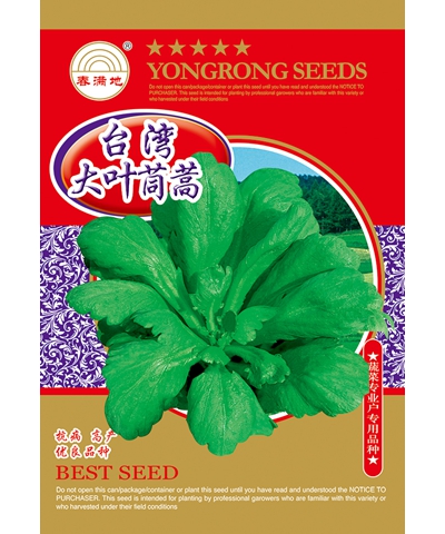臺灣大葉茼蒿