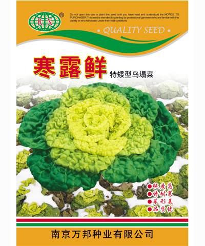 寒露鮮