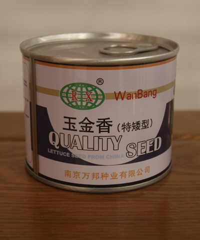 玉金香烏塌菜（特矮型）