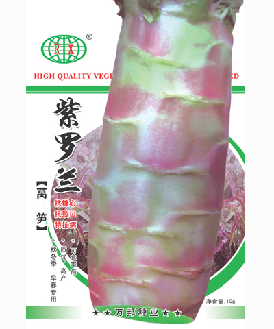紫羅蘭萵筍
