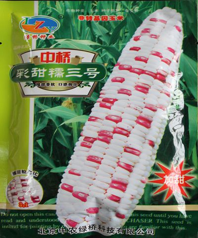 中橋彩甜糯三號