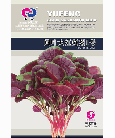 圓葉大紅莧菜