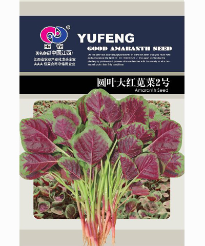 圓葉大紅莧菜2號(hào)