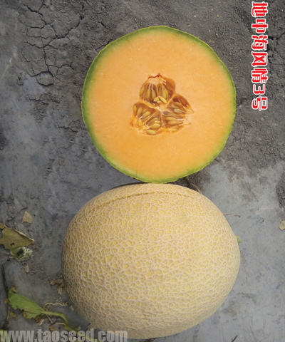 地中海風(fēng)情3號