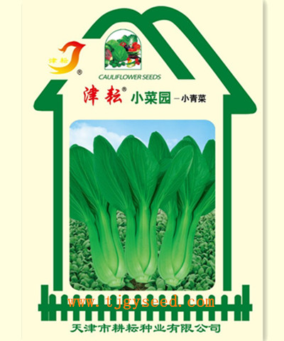 津耘小菜園-小青菜