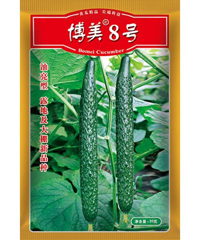 露地黃瓜--博美8號(hào)