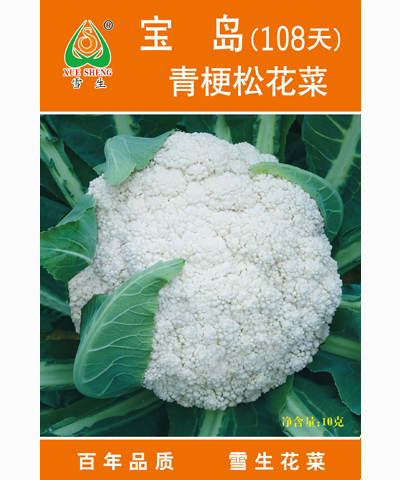  寶島青梗松花菜108天
