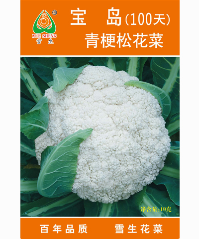 寶島青梗松花菜100天