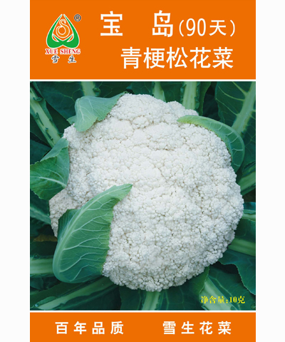 寶島青梗松花菜90天
