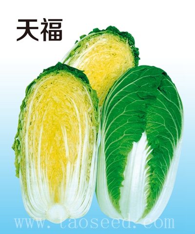 天福