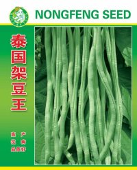 泰國(guó)架豆王
