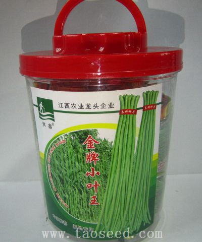 金牌小葉王
