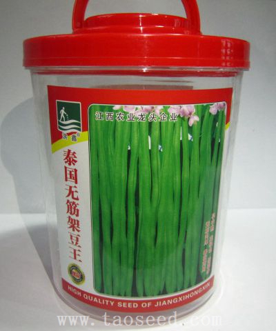 泰國無筋架豆王
