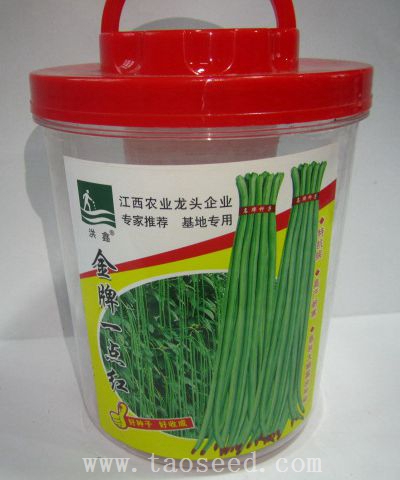 金牌一點紅