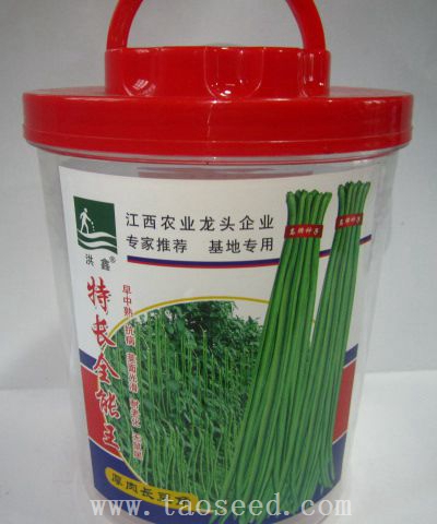 特長全能王