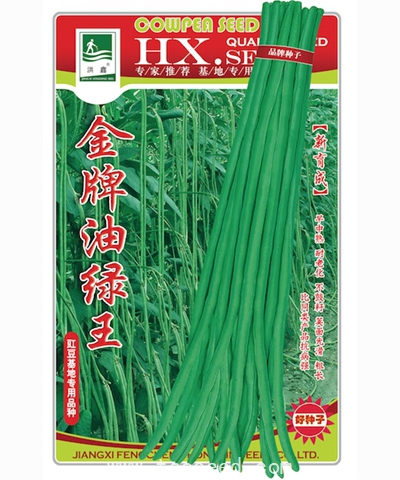 金牌油綠王