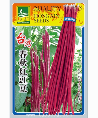 臺灣春秋紅豇豆