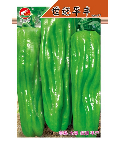世紀(jì)早豐