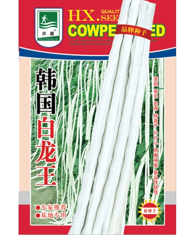 韓國白龍王