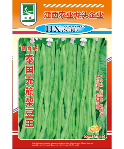 泰國無筋架豆王