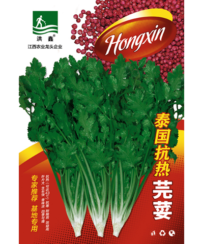 泰國(guó)抗熱芫荽