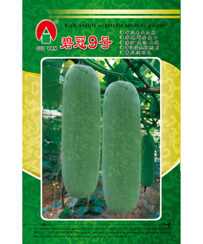 碧冠9號(hào)節(jié)瓜