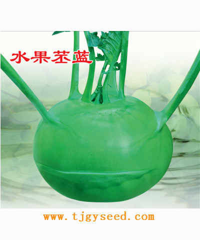水果苤藍(lán)