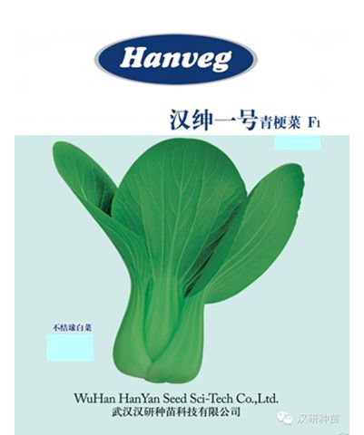 漢紳一號(hào)