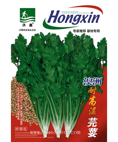 澳洲耐高溫芫荽