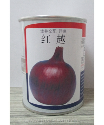 紅越