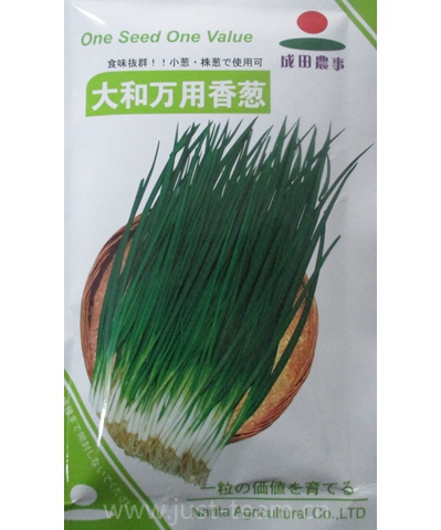 大和萬用香蔥