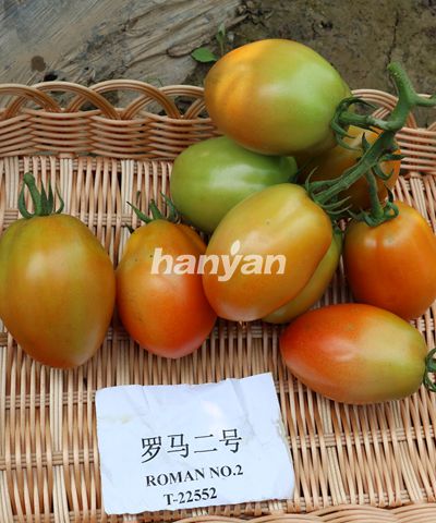 羅馬二號