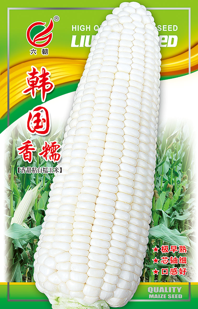 韓國香糯