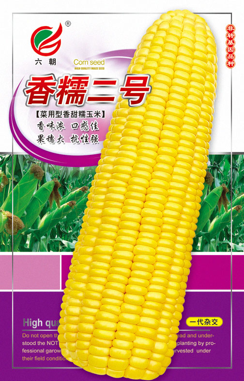 香糯二號