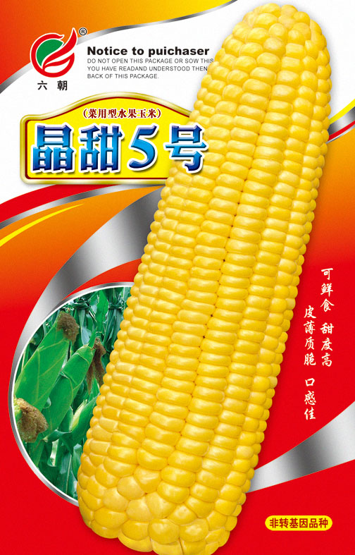 晶甜5號