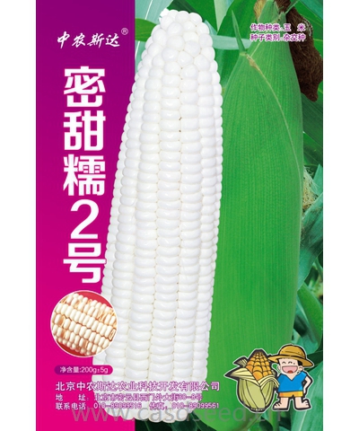 密甜糯2號