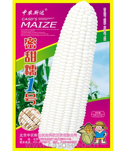 密甜糯1號