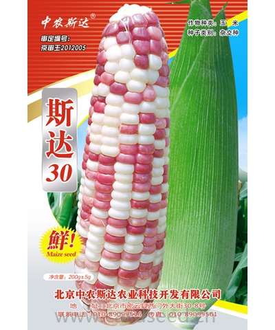 斯達30