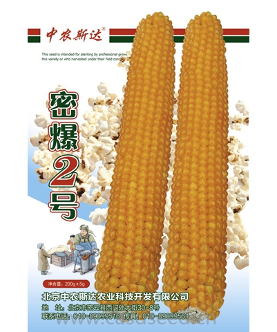 密爆2號