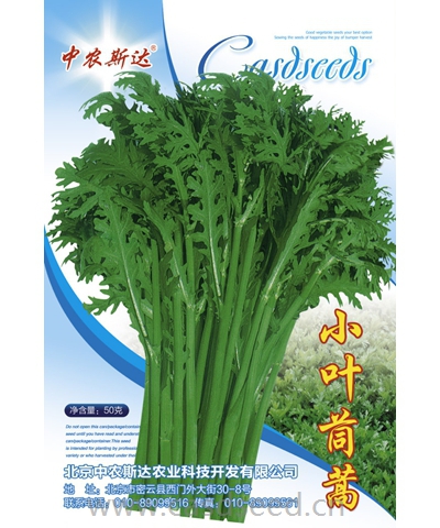 小葉茼蒿