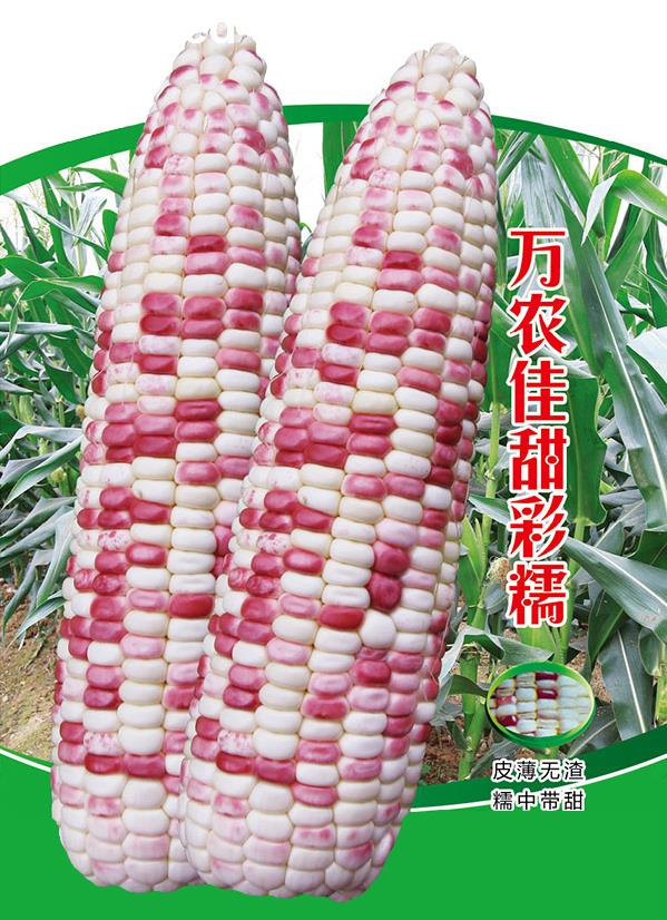 萬農(nóng)佳甜彩糯