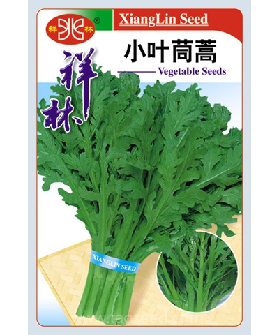 小葉茼蒿