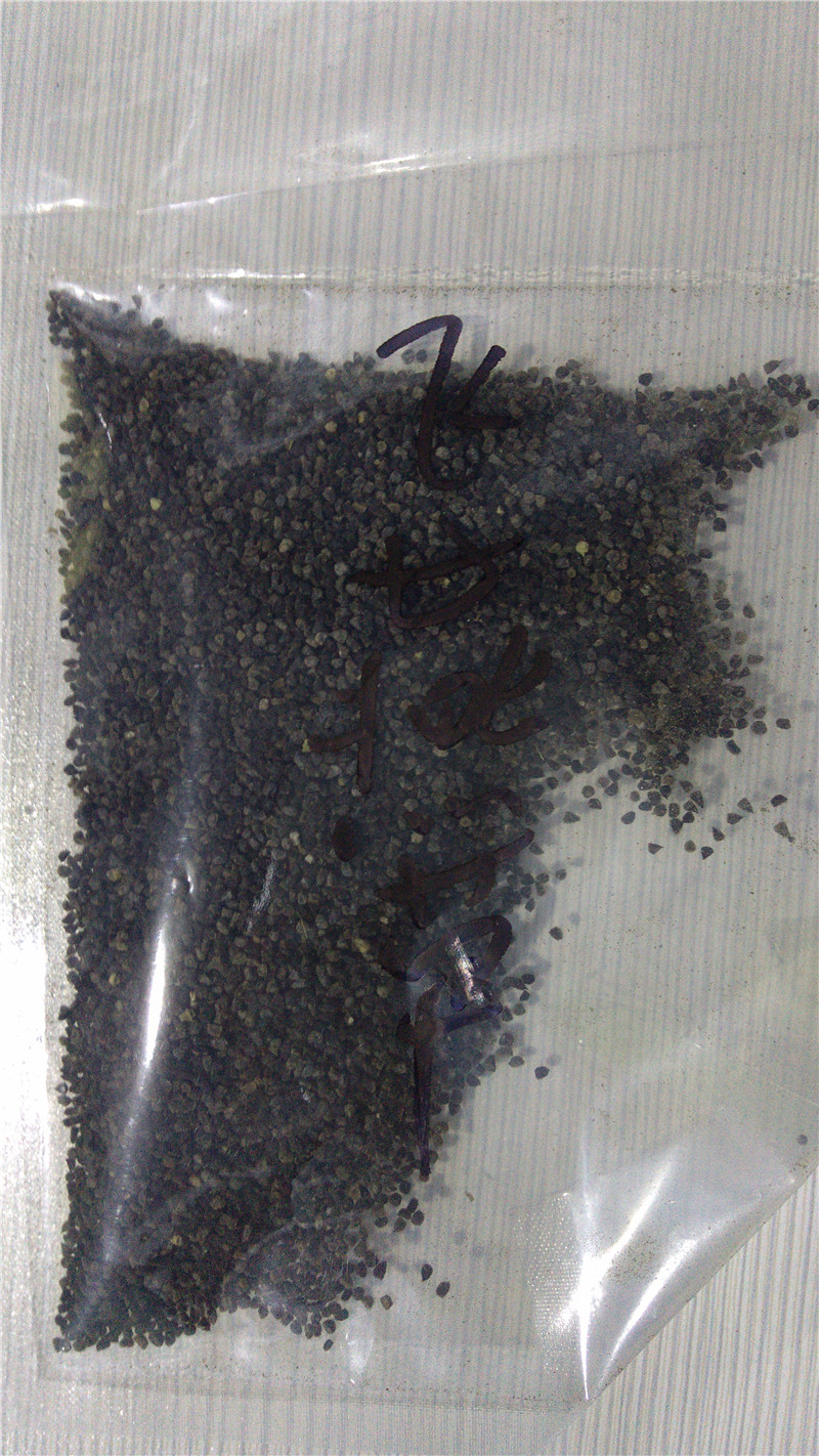 飛燕草種子大量出售