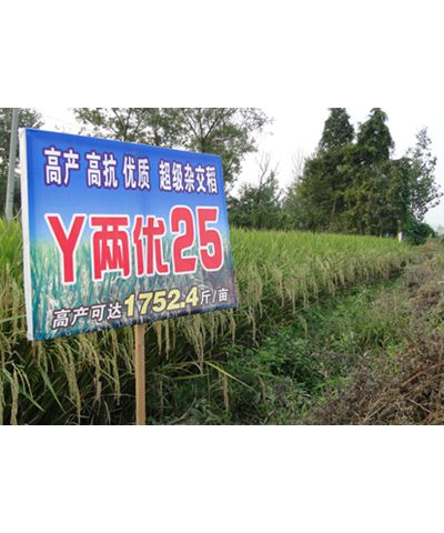 Y兩優(yōu)25