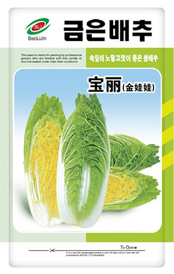 寶麗金娃娃