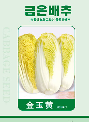 金玉黃娃娃菜