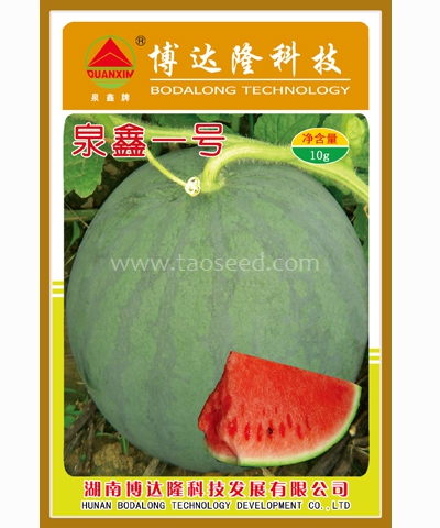 泉鑫一號(hào)