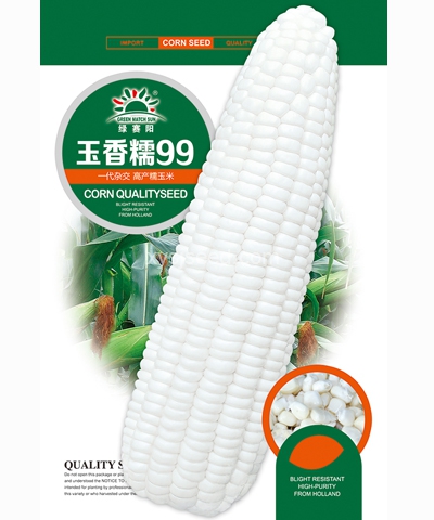 玉香糯99