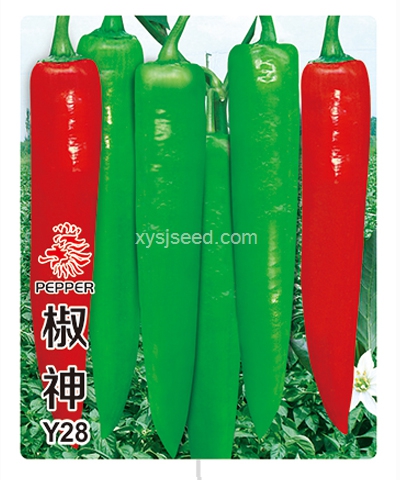 椒神Y28