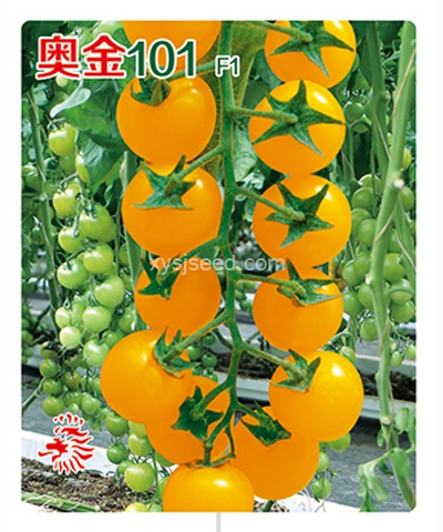 奧金101